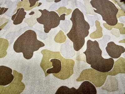 画像8: ２４４-D