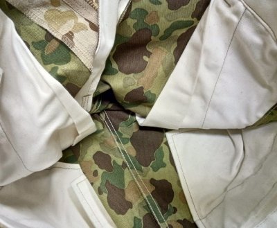 画像9: ２４４-D